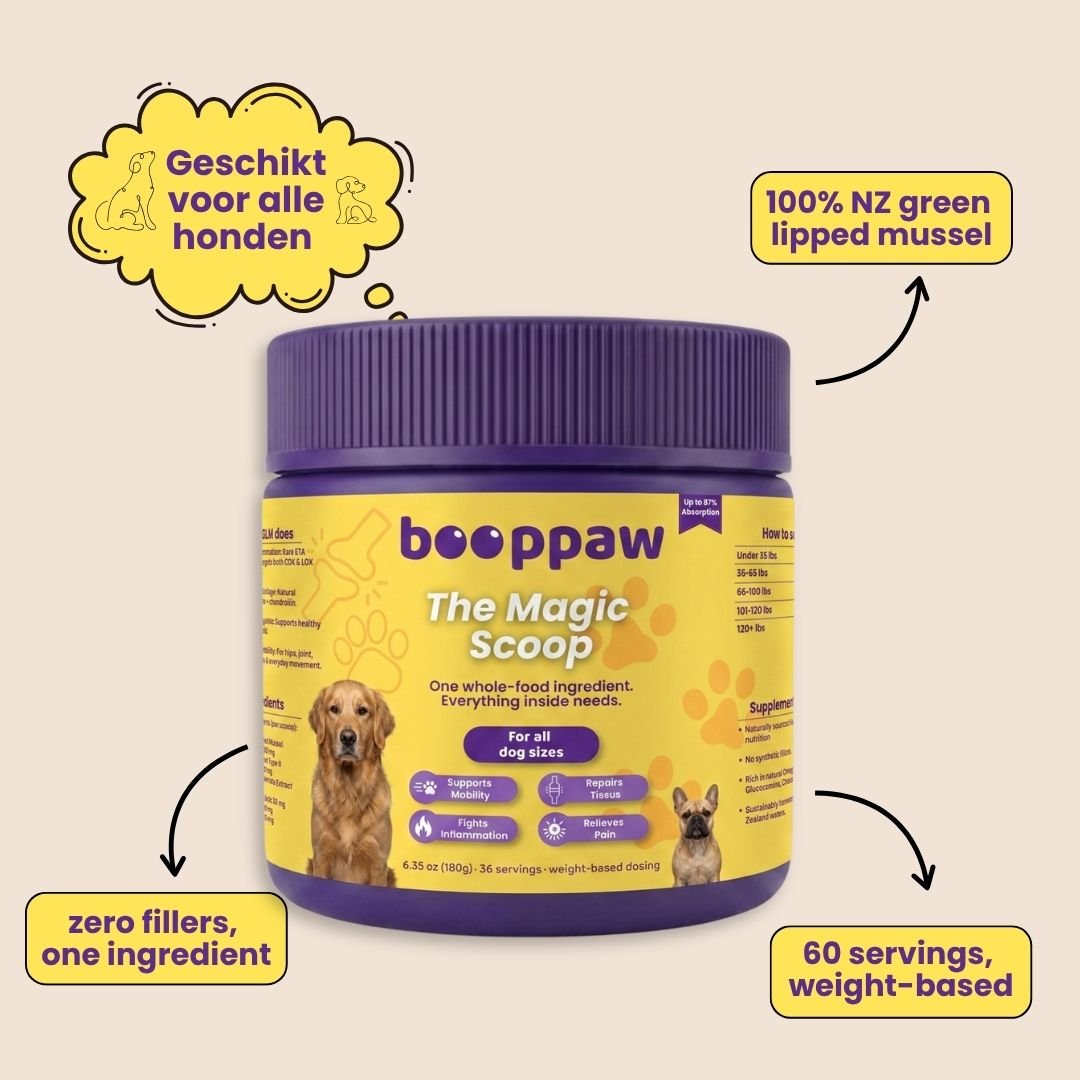 Heup & Gewricht Poeder - Boop Paw NL