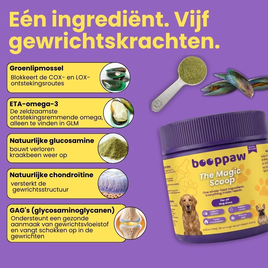 Heup & Gewricht Poeder - Boop Paw NL