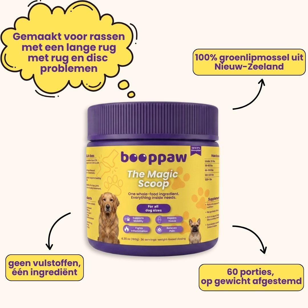 Boop Paw | Rug en Disc IVDD Poeder - Boop Paw NL