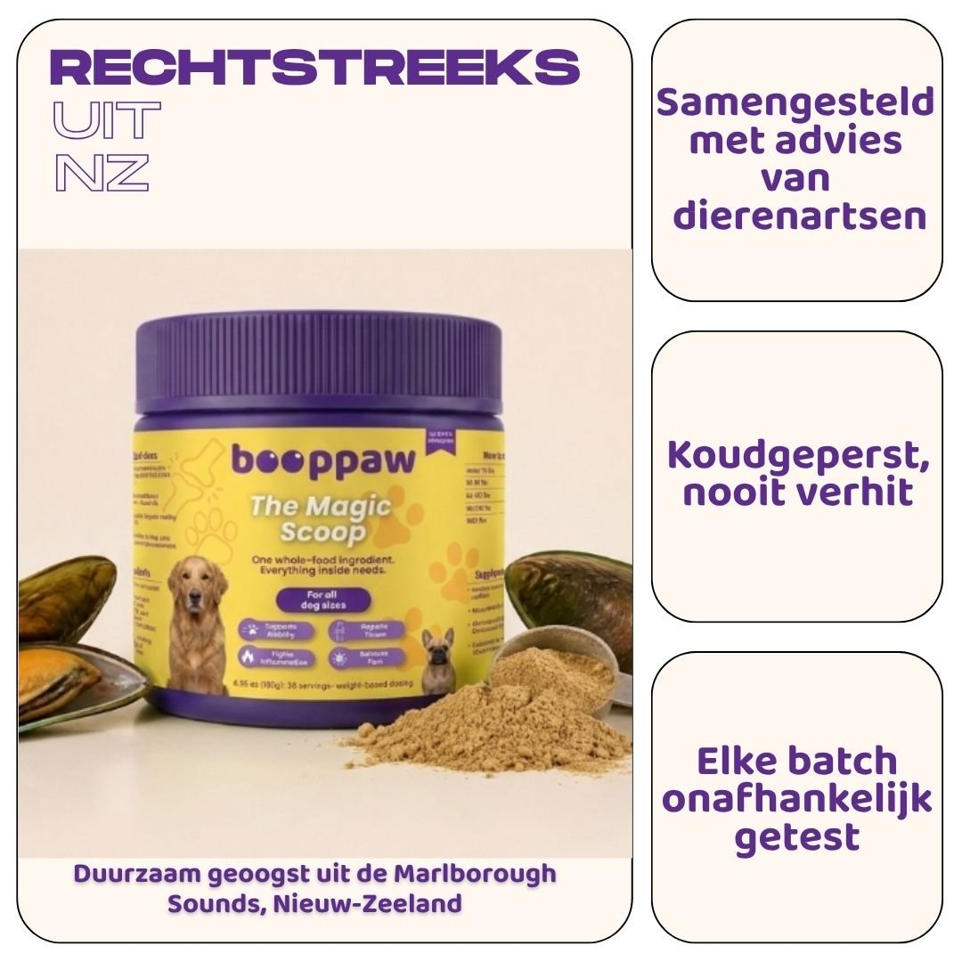Boop Paw | Rug en Disc IVDD Poeder - Boop Paw NL
