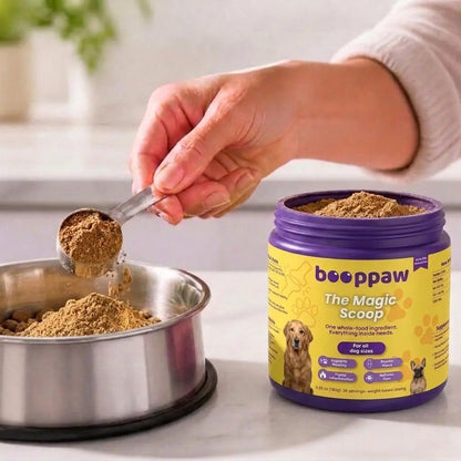 Heup & Gewricht Poeder - Boop Paw NL