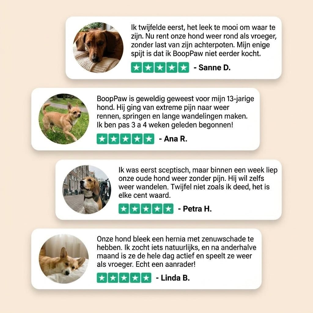 Boop Paw | Rug en Disc IVDD Poeder - Boop Paw NL
