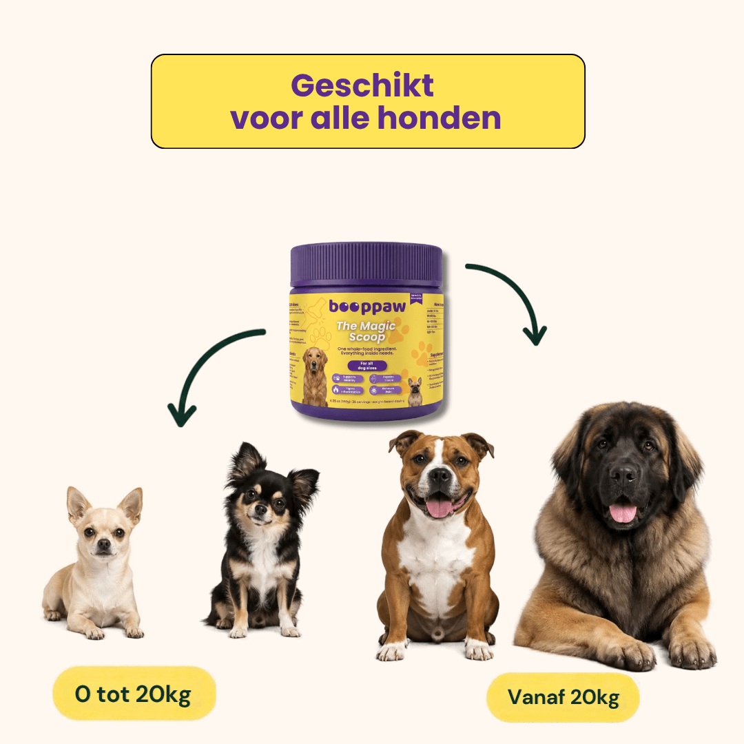 Boop Paw | Rug en Disc IVDD Poeder - Boop Paw NL