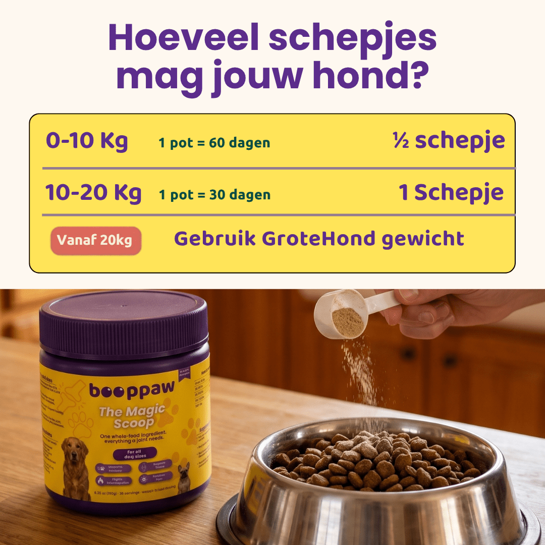 Boop Paw | Rug en Disc IVDD Poeder - Boop Paw NL