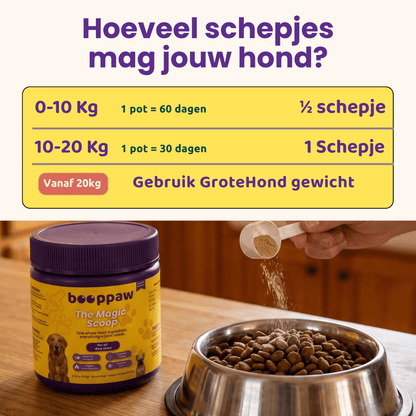 Boop Paw | Rug en Disc IVDD Poeder - Boop Paw NL