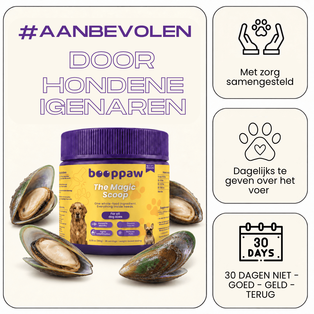 Boop Paw® | Rug en Wervelkolom Poeder | Grotehonden - Boop Paw NL