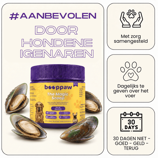 Boop Paw® | Rug en Wervelkolom Poeder | Grotehonden - Boop Paw NL